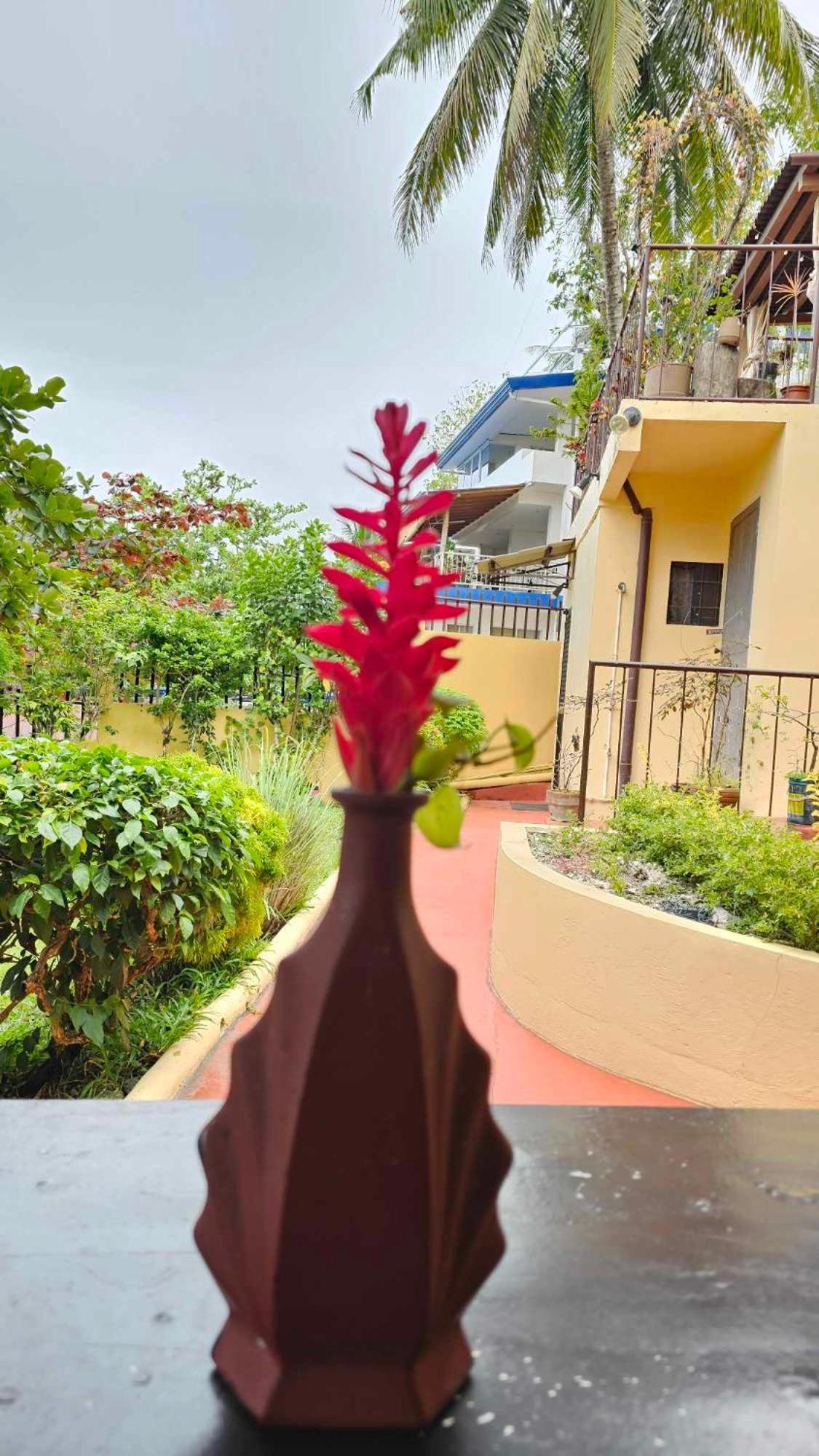 Eagles Nest Beach Resort Davao City المظهر الخارجي الصورة